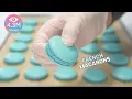 Lagu How to make Perfect French Macaron Shells (Hand Mixer) 완벽한 프렌치 마카롱 꼬끄 만드는 법ㅣSUGAR BEAN
