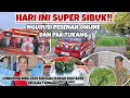 Lagu HARI INI SUPER SIBUK‼️NGURUSI PESANAN ONLINE DAN PAK TUKANG‼️UNBOXING MBG 1 MINGGU PUNYA FIRA \u0026 DITA