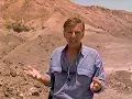 In Search of Human Origins The Story of Lucy 1994 Unraveling Our Oldest Ancestor