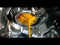 Specialty Java Fair Trade Certified Organic Coffee Overview