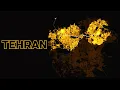 PERSIAN PATHWAYS Bidirectional Dijkstra vs A A-Star Pathfinding Visualization in Tehran 4K U