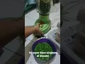 Download Lagu Sayur daun singkong di blender