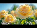 Download Lagu Невероятно красивая музыка🌺ЛУЧШИЙ сборник мелодий, от которых мурашки по коже🌿Сергей Грищук #2