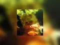 ivri - tower of memories (sped up)