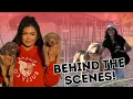 Inside an XL Bully Kennel Meet the Dogs Owner