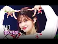 Download Lagu ILLIT (아일릿) - Tick-Tack [Lyrics] | KBS WORLD TV 241115