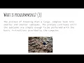 Think Java Chapter 1