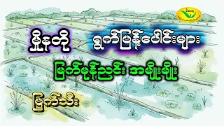 ပေါင်းမြက်တွေကြောင့် စပါး အထွက်နှုန်းလျော့စေတယ်ဆိုတာ သိပါသလား...
