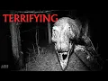 Download Lagu What A T Rex Actually Sounded Like in Real Life | TERRIFYING 