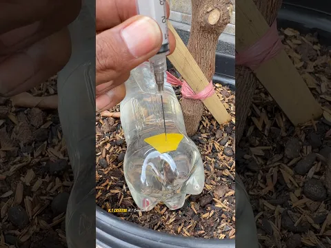 Useful tip! A Trick to Create a Drip Irrigation System at Home!