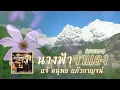 นางฟ้าจำแลง (บรรเลง) - แจ้ ดนุพล แก้วกาญจน์ [ Official Audio ]