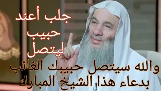 جلب أعند حبيب بدعاء الشيخ محمد حسان الذى لا يرد بأمر الله تعالى دندنها