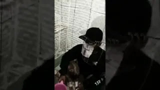 Content 0 Media External File 163860 