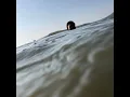 Delicious