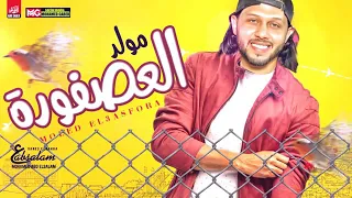 محمد عبدالسلام مولد العصفورة كل يوم حظ      دندنها