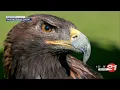 You can sponsor an animal at Sunriver Nature Center