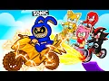 Download Lagu I Became LABUBU in Roblox BIKE OBBY!