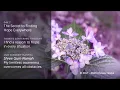 Download Lagu Manifesting Hope Day 7