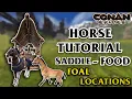 Everything About Horses - Saddle And Food All Foal Locations