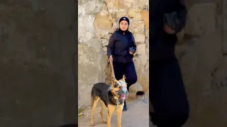 واقف على الموقف وبكلبى 