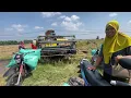 Download Lagu NUNGGONI WONG NGOMBI NOK SAWAH !!!! ALHAMDULILLAH HARI INI MAK NGATEMI PANEN