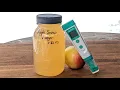 Cooking the Harvest Apple Scrap Vinegar pH Testing