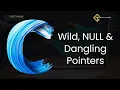 C109 Wild NULL and Dangling pointers in C