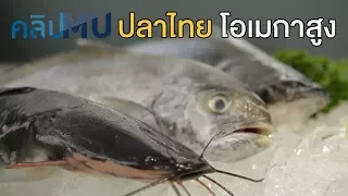ปลาไทย โอเมกา (Omega) สูง : คลิป MU [by Mahidol]