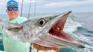We Have a HUGE Problem Kingfish Catch Cook