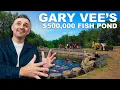 Download Lagu De bouw van Gary Vee's EPISCHE KOIVIJVER VAN 154.000 GALLON! (DEEL 1)