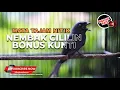 Download Lagu 🔴Masteran Cililin Sambung Kunti Tembakan Srigunting Abu Abu Isian Cililin