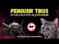 Download Lagu USIR TIKUS, SUARA KUCING DAN JANGKRIK PENGUSIR TIKUS, PENGUSIR TIKUS, SUARA JANGKRIK, SUARA KUCING