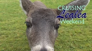 Cruising Lealea Weekend with Bambi and Friends