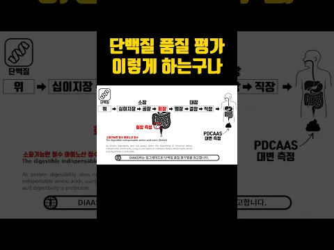 단백질 품질 2편