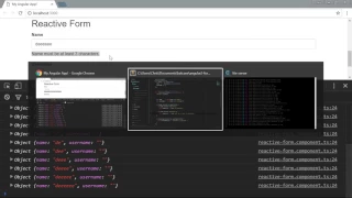 Angular 2 Forms and Validation Lesson12 Adding More Validations