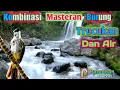 Download Lagu KOMBINASI Masteran Suara burung Trucukan ropel dengan suara Air gemercik