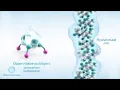 Download Lagu Biotrue lenzenvloeistof van Bausch \u0026 Lomb