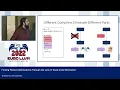 2022 EuroLLVM Dev Mtg Finding Missed Optimizations Through the Lens of Dead Code Elimination