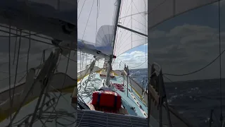 Look No Hands Sailing ⛵️