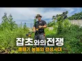 Download Lagu 나홀로 내집마련 ep1 : 충전 예초기로 정글같던 마당을 말끔히 정리!