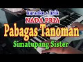 Download Lagu PABAGAS TANOMAN [KARAOKE] SIMATUPANG SISTER
