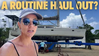 The Haul Out That Changed Everything…Ep 228!