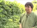 Download Lagu South Georgia Student Develops Method To Control Kudzu