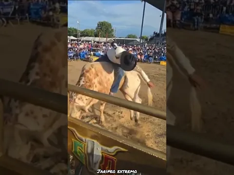 SELE QUE DARON AL PICA FRESA DE LOS DESTRUCTORES🤠🔥 #jaripeo #shorts