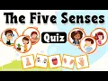 The Five Senses Quiz for Kids with Real-life Scenarios