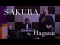 Download Lagu Fariz RM - Sakura (Cover By Hagana)