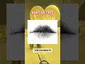 Download Lagu introvert vs extrovert test #shorts #science