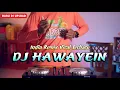 DJ INDIA HAWAYEIN | Remix Viral TikTok