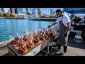 Inside San Diego s Once-a-Week Dockside Seafood Restaurant