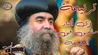 زى النار ماهى فى العليقة نيافة الحبر الجليل الانبا يؤانس أسقف أسيوط وتوابعها  سمائيات دندنها